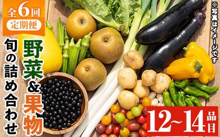 y359 《定期便・全6回》野菜と果物旬の詰め合わせ(12～14品目)【鹿児島県経済農業協同組合連合会】