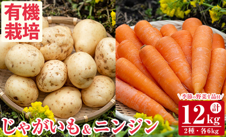 y394 [数量・期間限定]湧水町産有機にんじん&有機じゃがいも(計12kg)+季節の野菜1品セット[そのやま農園]