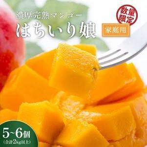 【数量限定/先行予約】 マンゴー「はちいり（鉢入り）娘」（ご家庭用2kg箱入り）