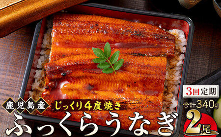 y3zȂ  170g×2yYznňĂiVbȂ