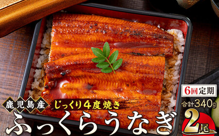 y6zȂ  170g×2yYznňĂiVbȂ