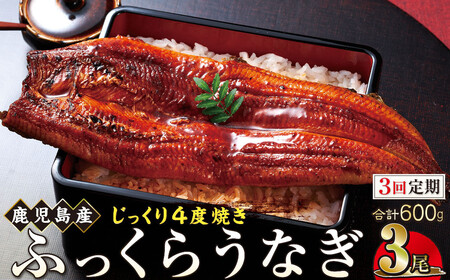 y3zȂ  200g×3yYznňĂiVbȂ