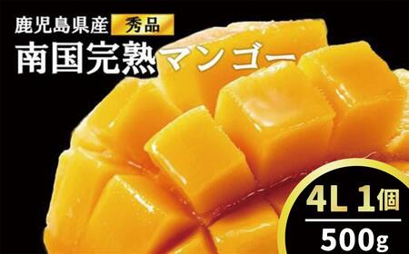 結いの町　南国完熟マンゴー（秀品大玉 4Lサイズ）500g | マンゴー 生産量 鹿児島県下 1位を誇る 大崎町 自然豊かな 大崎町の地元農家さんが丹精込めて育てた マンゴーを是非お召し上がりください！　 マンゴー マンゴー マンゴー マンゴー マンゴー マンゴー マンゴー マンゴー マンゴー マンゴー マンゴー マンゴー マンゴー マンゴー マンゴー マンゴー マンゴー マンゴー マンゴー マンゴー マンゴー マンゴー マンゴー マンゴー マンゴー マンゴー マンゴー鹿児島県産 大崎町産 送料無料