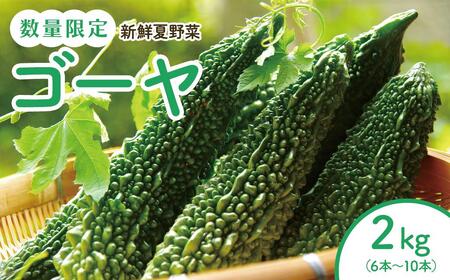 [先行予約]結いの街 新鮮夏野菜野菜!ゴーヤ