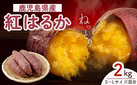 ys\zg@g͂邩@2kg
