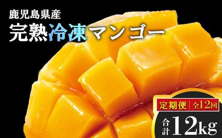 [定期便・全12回]鹿児島県産!結いの街!完熟まるごと冷凍マンゴー(1回のお届け1kg・2〜3個入り)