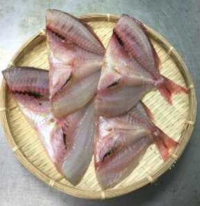 鯛の干物(4枚)[月間数量限定!]