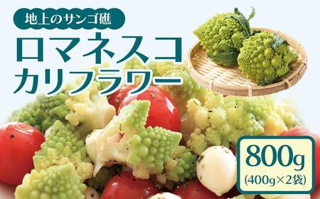 冷凍カットロマネスコカリフラワー 400g×2袋(800g)