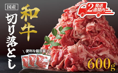 [2週間以内発送]国産和牛切り落とし600g
