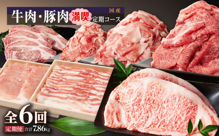 牛肉・豚肉満喫定期コース(毎月1回お届け)x全6回