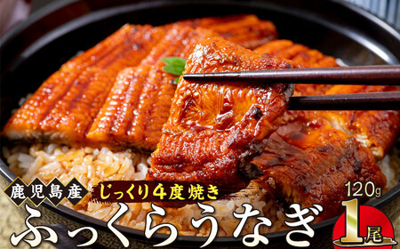 うなぎ 蒲焼 120g×1尾[鹿児島産]地下水で育てた絶品鰻