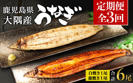 [定期便全3回]鹿児島県大隅産 千歳鰻の白焼1尾・蒲焼き1尾 (1尾110g〜130g)