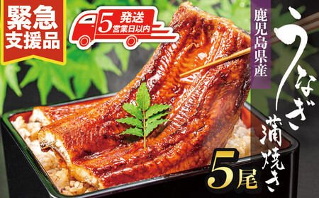 y5cƓȓzYȂ120g×5Zbg