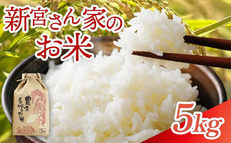 [精米]新米 大崎産 新宮ほのか米 (なつほのか)5kg