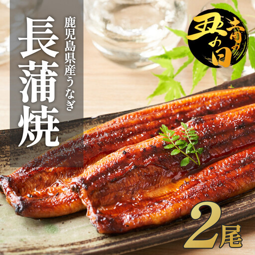 [土用丑の日]ふるさと納税限定 鹿児島県大崎町産 国産 うなぎ長蒲焼 2尾 計320g以上 | 鰻 うなぎ蒲焼き うな重 ひつまぶし ウナギ 蒲焼 人気 おすすめ 鹿児島 大隅半島