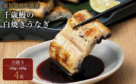 鹿児島県大隅産 千歳鰻の 白焼鰻　4尾｜うなぎ うなぎ