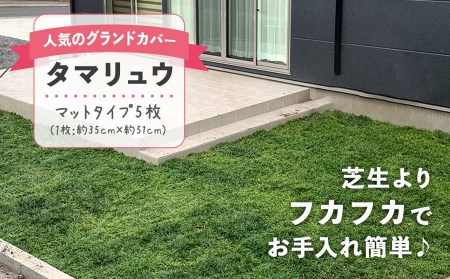 タマリュウの返礼品 検索結果 | ふるさと納税サイト「ふるなび」