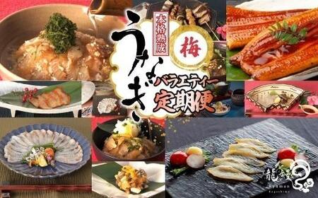 うなぎの概念が変わる!![本格熟成]龍鰻バラエティー定期便[梅]