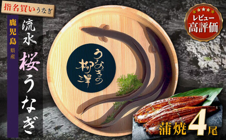 うなぎ の柳澤 うなぎ 蒲焼4尾（計680g）