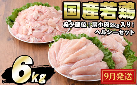 [0124806a-2509][2025年9月発送予定]国産若鶏肉ヘルシーセット(合計6kg・ムネ、ささみ、肩小肉) 鶏肉 鳥肉 とり肉 むね肉 おかず 小分け 国産[エビス]