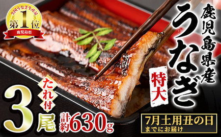 [0234303a-2507][土用丑の日までにお届け]東串良町のうなぎ蒲焼(無頭)(3尾・計約630g・タレ、山椒付) 丑の日 土用丑の日 うなぎ 高級 ウナギ 鰻 国産 蒲焼 蒲焼き たれ 鹿児島 ふるさと 人気[アクアおおすみ]