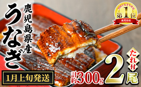 y0134332a-2601z1{\聄ǒ̂Ȃ()(2Ev300gE^ARt) Ȃ  EiM V Y  Ă   ӂ邳 lCyЃANA