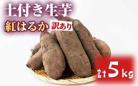 y0073609az󂠂聄̔_×VܐʓX̓yt(g͂邩E5kg)   Tc}C F  Ă  XC[cyLʁz