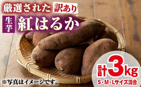 [0095921a][訳あり]物産館おすすめ!厳選された紅はるか(生芋・計3kg) 生芋 焼芋 焼き芋 やきいも さつまいも さつま芋 スイーツ 期間限定 [東串良物産館ルピノンの里]