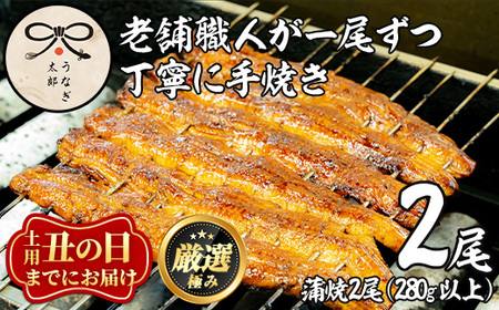 [0263708a-2607][丑の日までにお届け!]鹿児島県産東串良町のうなぎ蒲焼・秘伝のタレ付き(2尾・計280g以上) うなぎ 高級 ウナギ 鰻 国産 蒲焼 蒲焼き たれ 鹿児島 うな重 うな丼 土用の丑の日 [うなぎ太郎]