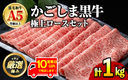 y0521720azs10cƓȓɔItYјaIA5ɏネ[XԂԂ₫p(v1kgE500g×2P)   a Ⓚ Y  Ԃ Ă Ⓚ yOc{Y