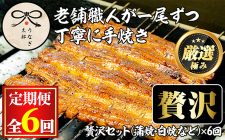 [3003712b][定期便・全6回(連続)]鹿児島県産うなぎの贅沢セット(蒲焼き・白焼き・きざみ鰻など) うなぎ 高級 ウナギ 鰻 国産 たれ 鹿児島 蒲焼き 白焼き きざみ鰻 焼肝串 [うなぎ太郎]