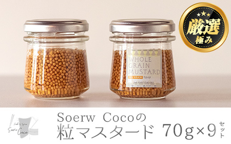 y0214214azSoerw Coco̗}X^[h(70g×9Zbg)  炵  yFoodSpiceSoerwCocoz