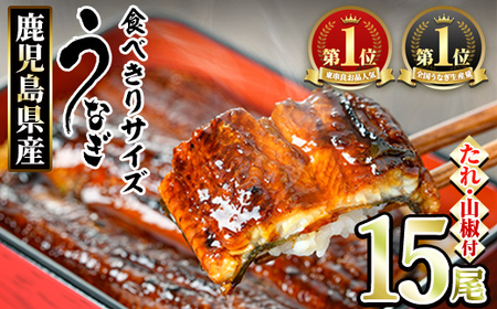 [0554327a][食べきりサイズ!]東串良町のうなぎ蒲焼(無頭)(15尾・計1500g・タレ、山椒付) うなぎ 高級 ウナギ 鰻 国産 蒲焼 蒲焼き たれ 鹿児島 ふるさと 人気 [アクアおおすみ]