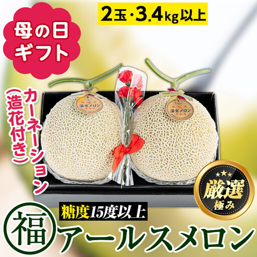 【0281113a-M】＜母の日ギフト・数量限定＞高級アールスメロン(大玉2玉・計3.4kg以上、カーネーション(造花)付) メロン フルーツ 果物 果実 3キロ 数量限定 期間限定 贈答 贈り物 母の日【マル福園芸組合】