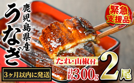 y0114335az3ȓɔ\聄ǒ̂Ȃ()(2Ev300gE^ARt) Ȃ  EiM V Y  Ă   ӂ邳 lC yANA݁z