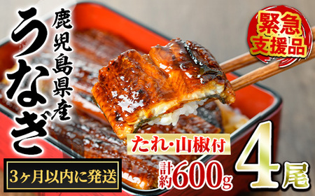 y0224337az3ȓɔ\聄ǒ̂Ȃ()(4Ev600gE^ARt) Ȃ  EiM V Y  Ă   ӂ邳 lC yANA݁z