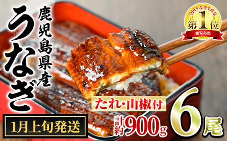 y0364340a-2601z1{\聄ǒ̂Ȃ()(6Ev900gE^ARt) Ȃ  EiM V Y  Ă   ӂ邳 lC yANA݁z