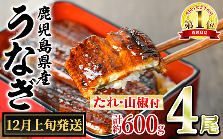 y0244339a-2512z12{\聄ǒ̂Ȃ()(4Ev600gE^ARt) Ȃ  EiM V Y  Ă   ӂ邳 lC yANA݁z