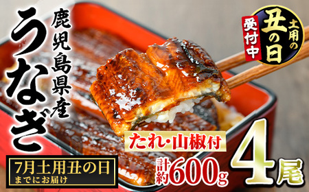 【0204348a-2607】＜土用の丑の日までにお届け＞東串良町のうなぎ蒲焼(無頭)(4尾・計約600g・タレ、山椒付) うなぎ 高級 ウナギ 鰻 国産 蒲焼 蒲焼き たれ 鹿児島 ふるさと 人気 丑の日 【アクアおおすみ】