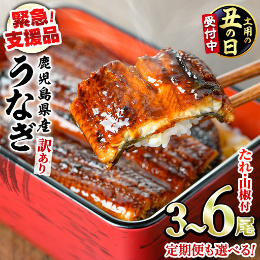 【0134350a-2607】＜土用丑の日までにお届け＞【緊急支援品】＜訳あり＞鰻の蒲焼き(無頭)(3～4尾・計約480g・タレ、山椒付) うなぎ ウナギ 鰻 国産 蒲焼 蒲焼き たれ 鹿児島 ふるさと 人気 支援 【アクアおおすみ】