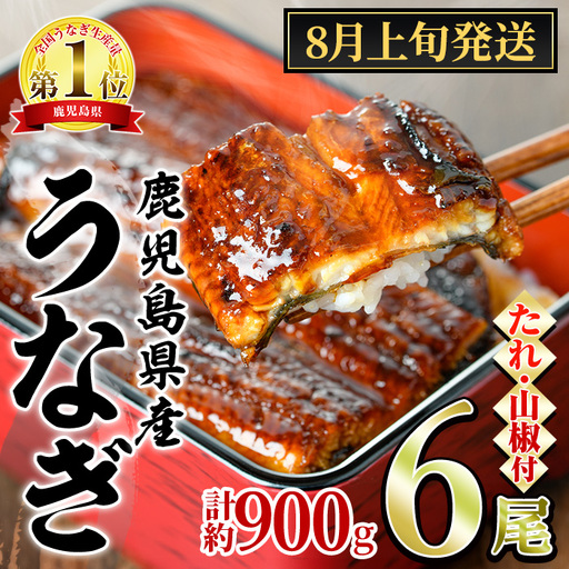 【0304349a-2608】＜8月上旬発送予定＞東串良町のうなぎ蒲焼(無頭)(6尾・計約900g・タレ、山椒付) うなぎ 高級 ウナギ 鰻 国産 蒲焼 蒲焼き たれ 鹿児島 ふるさと 人気 【アクアおおすみ】
