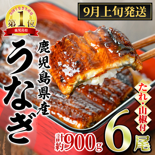 【0304349a-2609】＜9月上旬発送予定＞東串良町のうなぎ蒲焼(無頭)(6尾・計約900g・タレ、山椒付) うなぎ 高級 ウナギ 鰻 国産 蒲焼 蒲焼き たれ 鹿児島 ふるさと 人気 【アクアおおすみ】