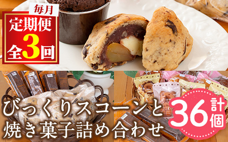 [31887][定期便・全3回(連続)]焼き菓子詰め合わせ(ガトーショコラ、スコーン、ブラウニー、マドレーヌ、フィナンシェ)お菓子 スイーツ 洋菓子 焼き菓子 個包装 小分け おやつ かわいい[Felice Regalo]