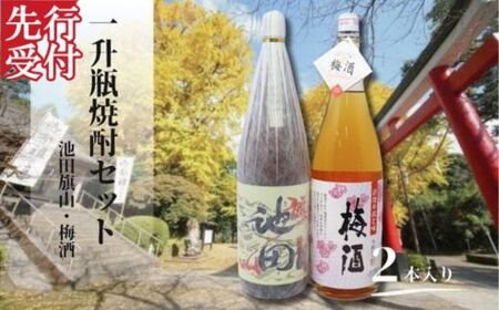 ☆先行受付☆No.1425-1 池田旗山・梅酒(一升瓶) 2本セット