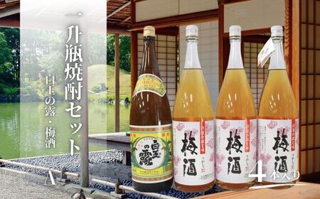 No.2120 白玉の露・梅酒(一升瓶)4本セットA
