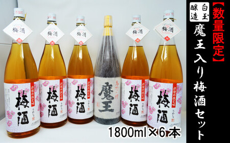 [数量限定]No.4026-2 白玉醸造 魔王入り梅酒セット