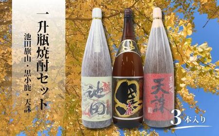 No.2119 池田旗山・小鹿黒・天誅(一升瓶) 3本セット