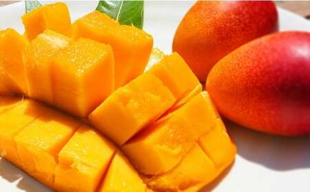 No.3042-5 �󂠂芮�n�}���S�[�iL�T�C�Y�ȏ�F5�`�V�j