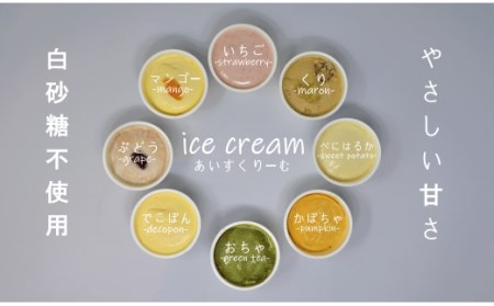 No.1018-1 ご当地アイスセット