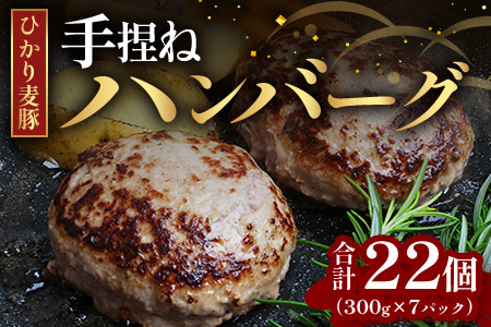 ひかり麦豚 ハンバーグセット サイズ違い 22個 ( 300g × 7パック )